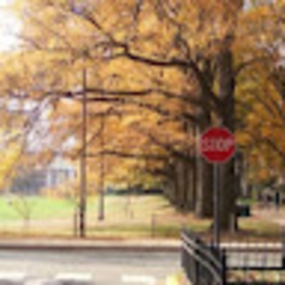 Meet your Posher, Ryan - Picture 1 of 1